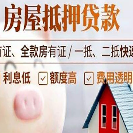 漳浦贷款助贷公司新渝启服靠谱公司