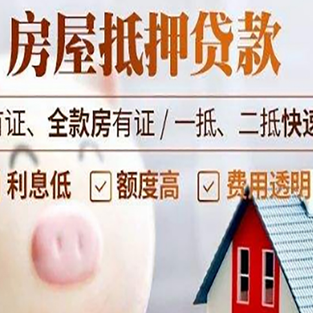 漳浦贷款助贷公司新渝启服成立时间久